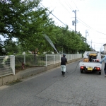 CIMG2728.JPG